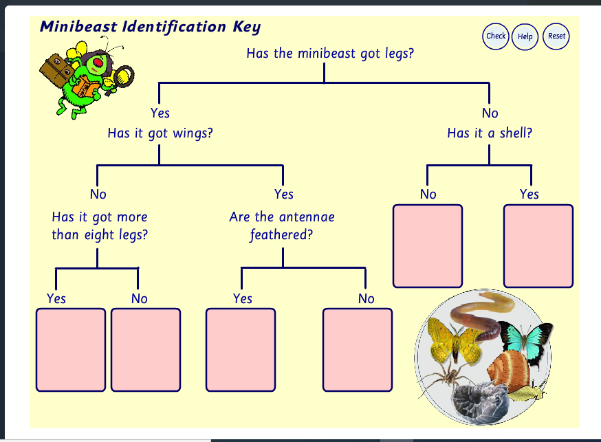 Science -Classification. | Year-6B